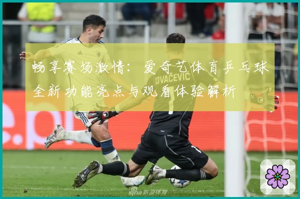 畅享赛场激情：爱奇艺体育乒乓球全新功能亮点与观看体验解析